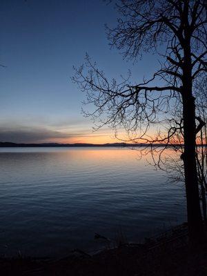 Photo of Chanelle M.