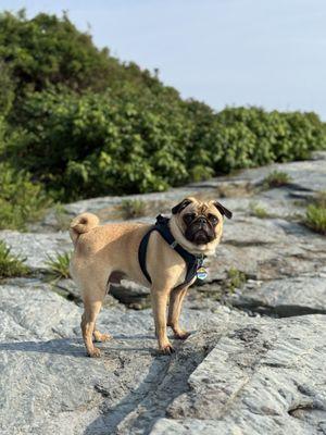 photo of Caroline C.