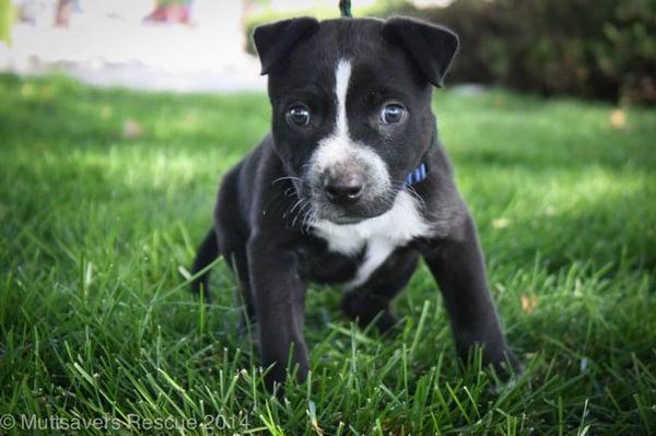 Photo of Echo F.