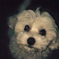 Photo of Jayme F.