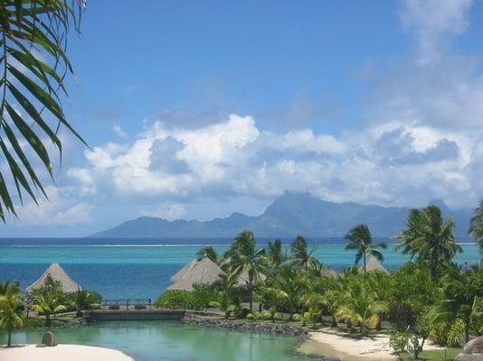 photo of Caroline B.