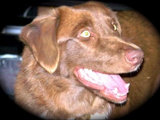 Photo of Lora T.