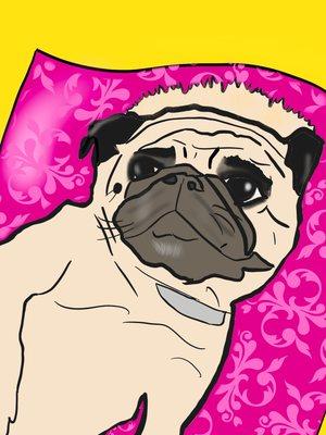 photo of Savannah C.