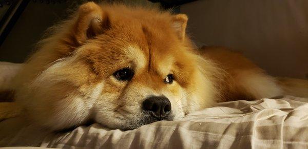 photo of Debbie May E.