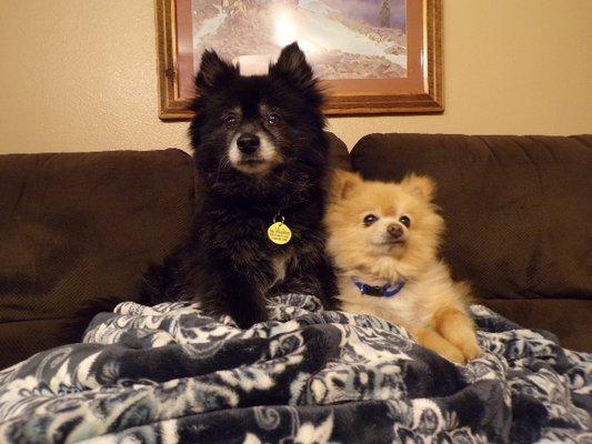 photo of Donnetta W.