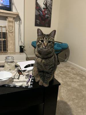 photo of Rudrasis C.