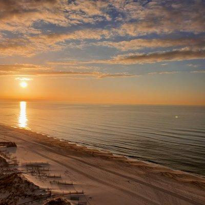 photo of Cornelia M.