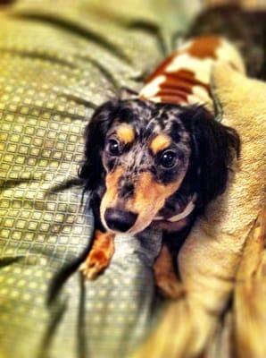 photo of Mitchell W.