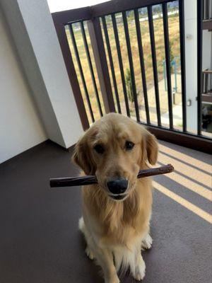 photo of Angelika H.