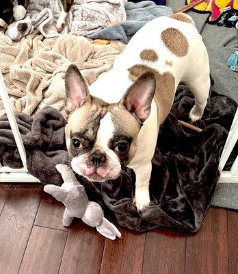 Photo of Baxter P.