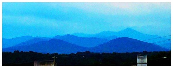 Photo of Chauncey F.