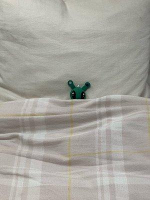 photo of Elliyanna M.