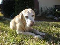 photo of Mountain G.