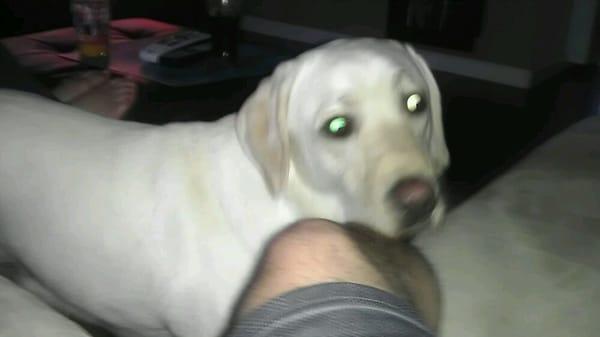 photo of Brittany R.