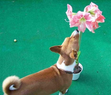 photo of Eva Natasha A.