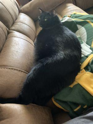 photo of Jeanette Y.