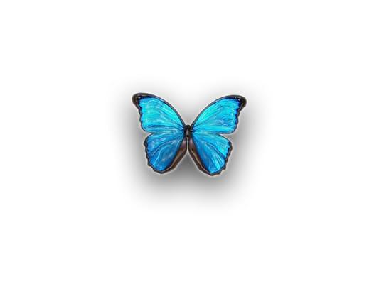 Photo of M H.