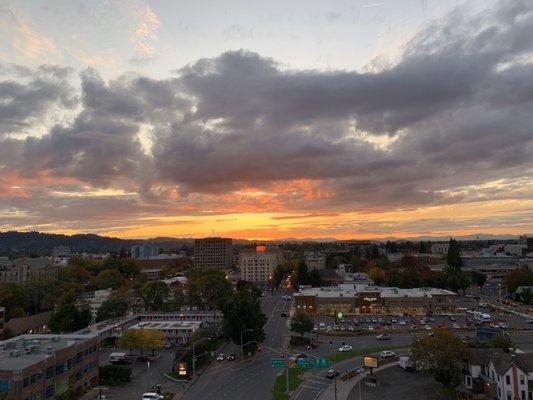 Photo of Victoria C.