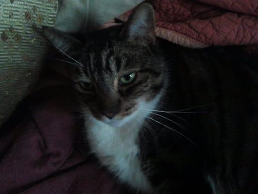 photo of Michelle P.