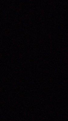 photo of Stephanie P.