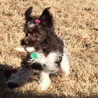 Photo of Ava H.