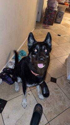 Photo of Odin F.