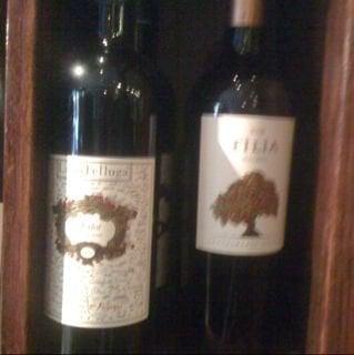 photo of Danielle T.