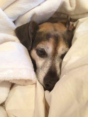 photo of Elizabeth H.