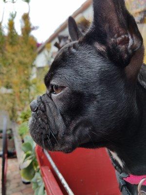 Photo of Carlos M.