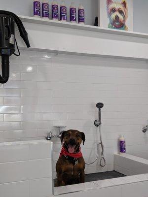 photo of Elizabeth S.