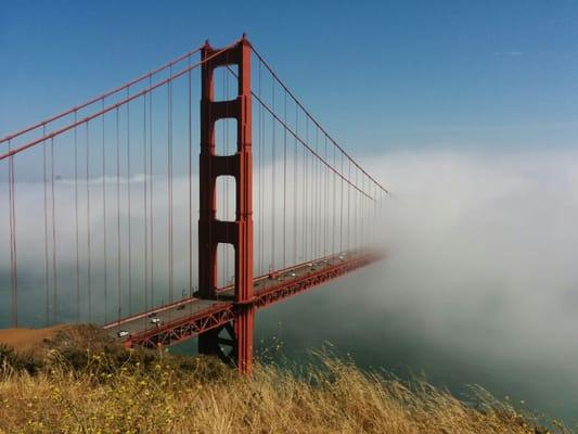 photo of Foody Trudy S.