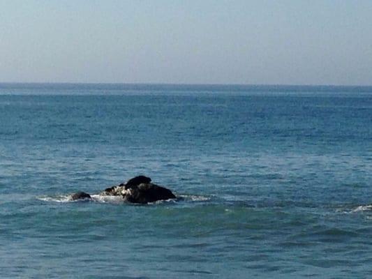 photo of Michelle C.