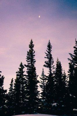 photo of Christopher G.