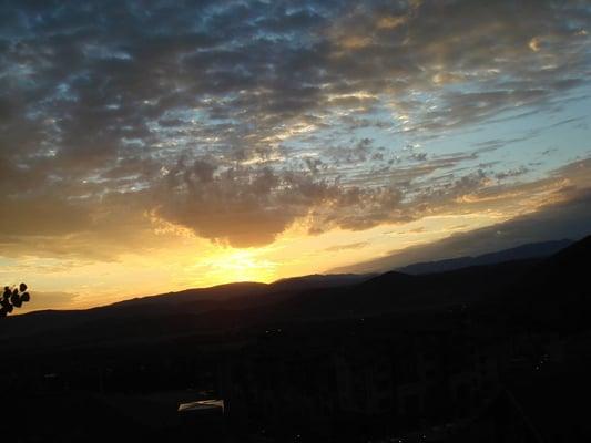 photo of Patricia C.