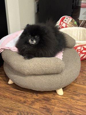 photo of Samantha F.