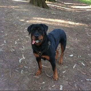 photo of Ashleigh N.