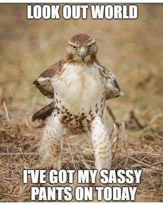 photo of Jennifer K.