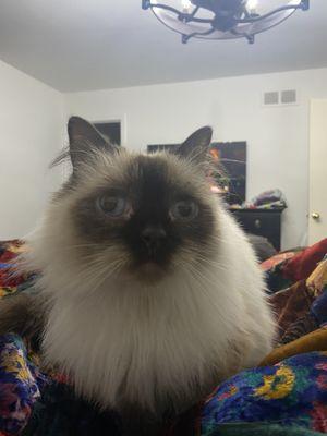 photo of Danielle B.