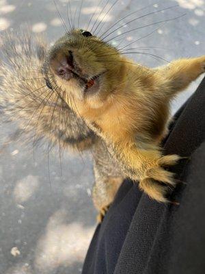 photo of Gabrielle G.