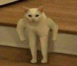 photo of Yelp God T.