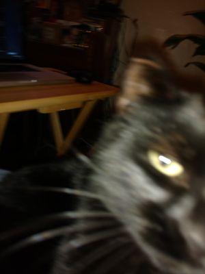 Photo of Rhoda T.