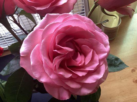 photo of rockhqmrolls