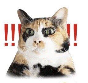 photo of Hunter-Ashley N.