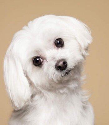 Photo of Cindy C.