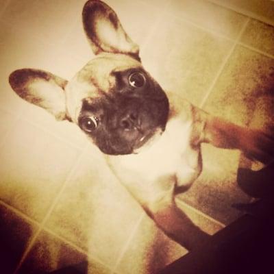 photo of rosemary p.