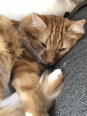 photo of Jennifer D.