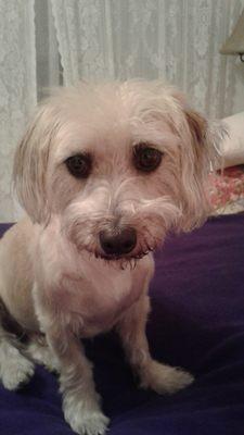 photo of Virginia I.