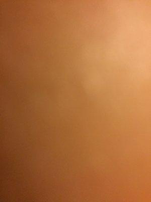 photo of Kathleen F.