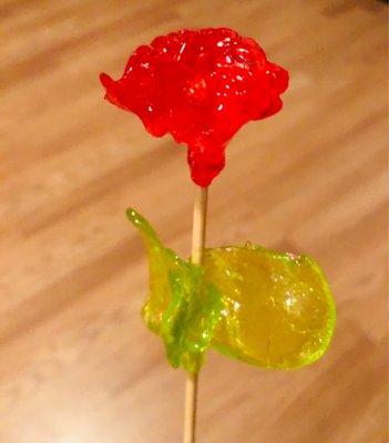 photo of WillReview U.