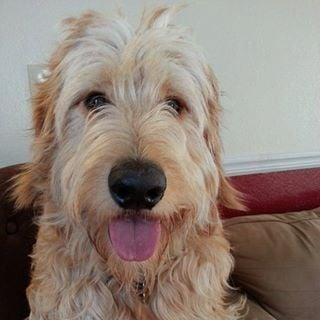 photo of Geoffrey Z.